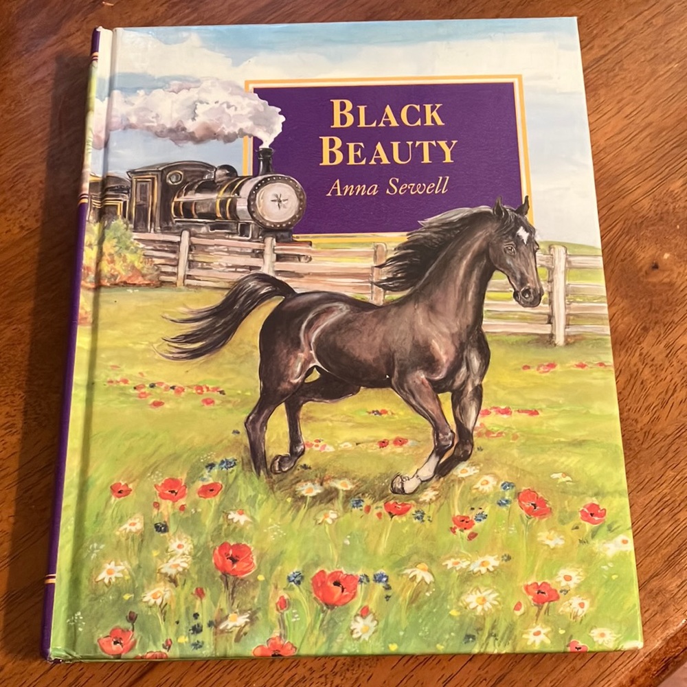 Lovely classic children’s hardcover book, Black Beauty, like new condition!